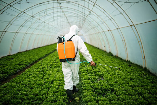 Pest Control for Restaurants in Carlisle, KY