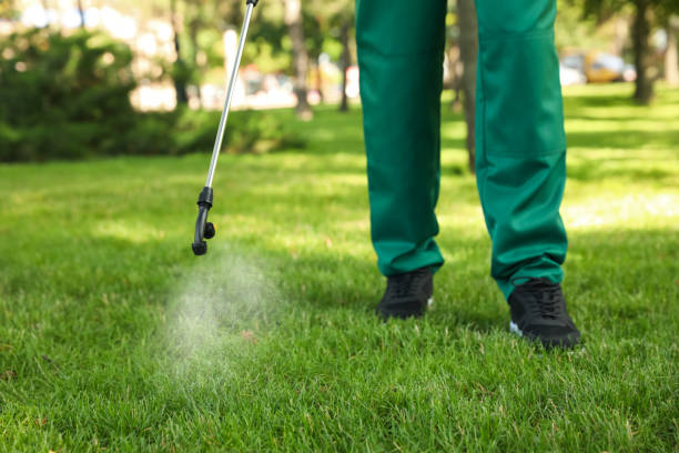 Best Mosquito Control Services  in Carlisle, KY