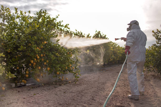 Best Commercial Pest Control Services  in Carlisle, KY