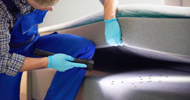 Best Rat Extermination Near Me  in Carlisle, KY