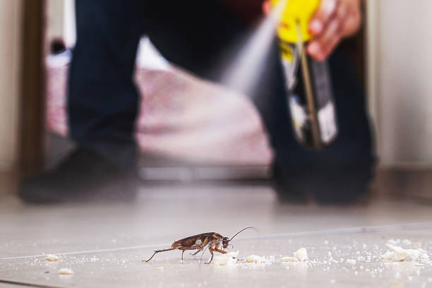 Best Flea Control Services  in Carlisle, KY