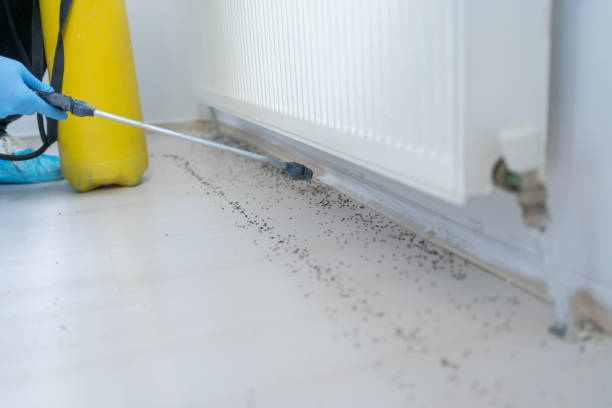 Reliable Carlisle, KY Pest Control Solutions