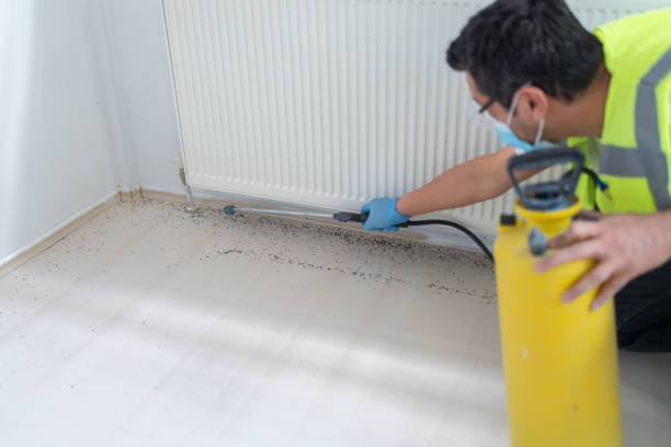 Pest Control Cost in Carlisle, KY